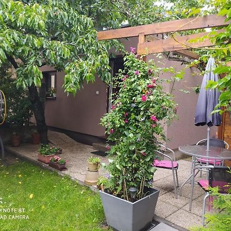 Apartment Garden Ceske Budejovice Exteriör bild