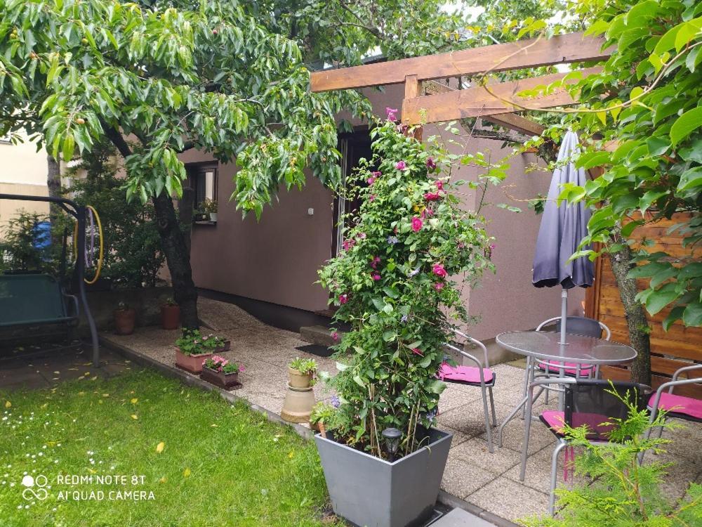 Apartment Garden Ceske Budejovice Exteriör bild